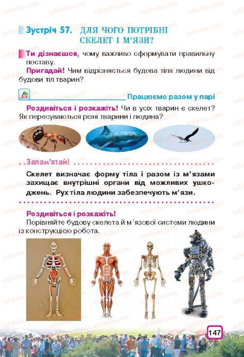 Страница 147 | Підручник Природознавство 3 клас І.В. Грущинська 2013