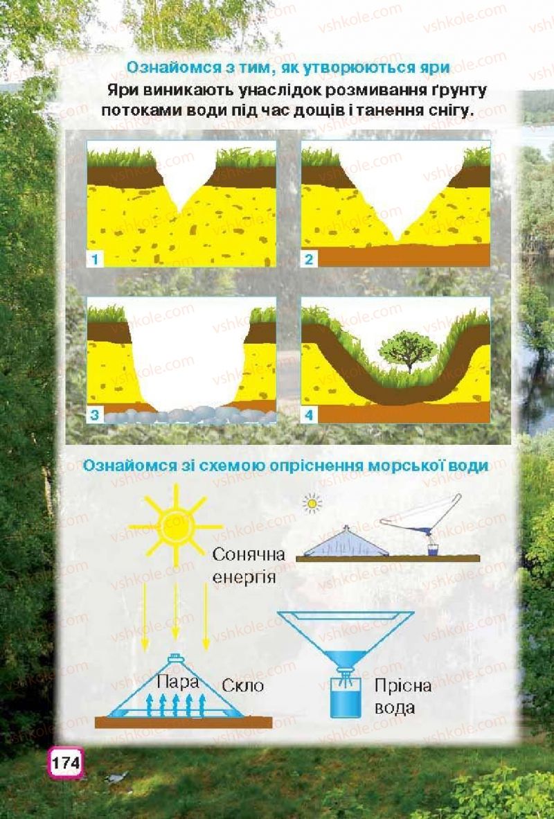 Страница 174 | Підручник Природознавство 3 клас І.В. Грущинська 2013