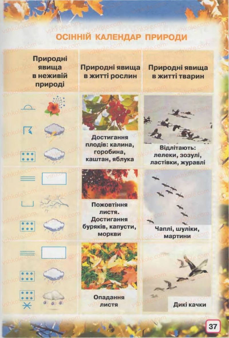 Страница 37 | Підручник Природознавство 2 клас І.В. Грущинська 2012