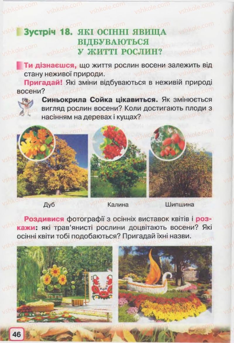 Страница 46 | Підручник Природознавство 2 клас І.В. Грущинська 2012