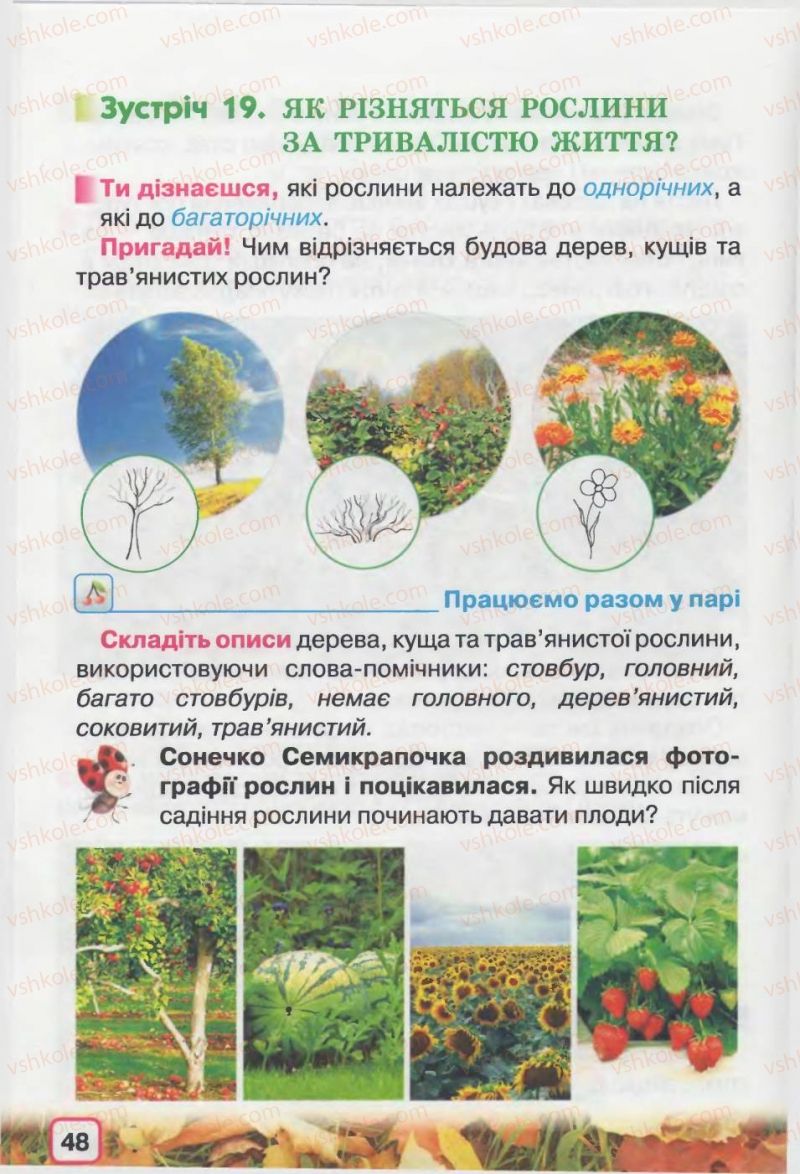 Страница 48 | Підручник Природознавство 2 клас І.В. Грущинська 2012
