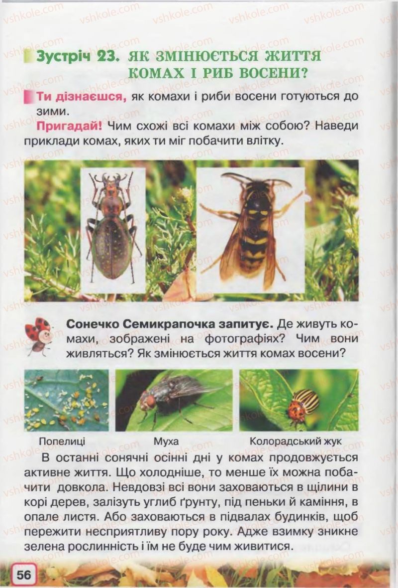 Страница 56 | Підручник Природознавство 2 клас І.В. Грущинська 2012