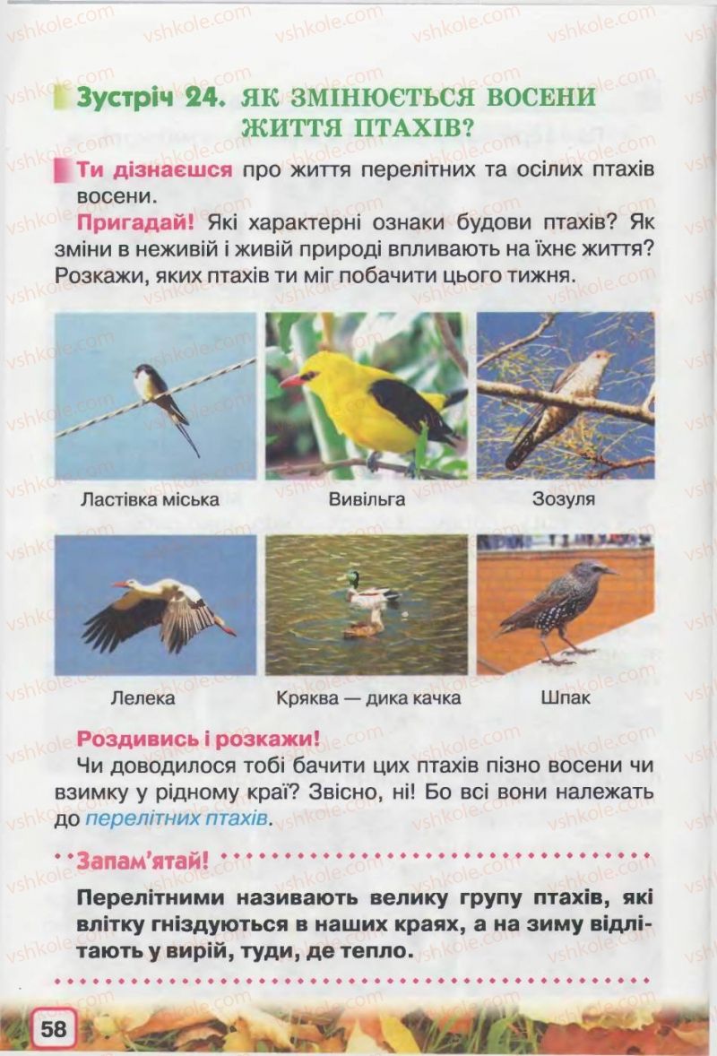 Страница 58 | Підручник Природознавство 2 клас І.В. Грущинська 2012