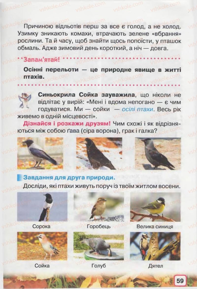Страница 59 | Підручник Природознавство 2 клас І.В. Грущинська 2012