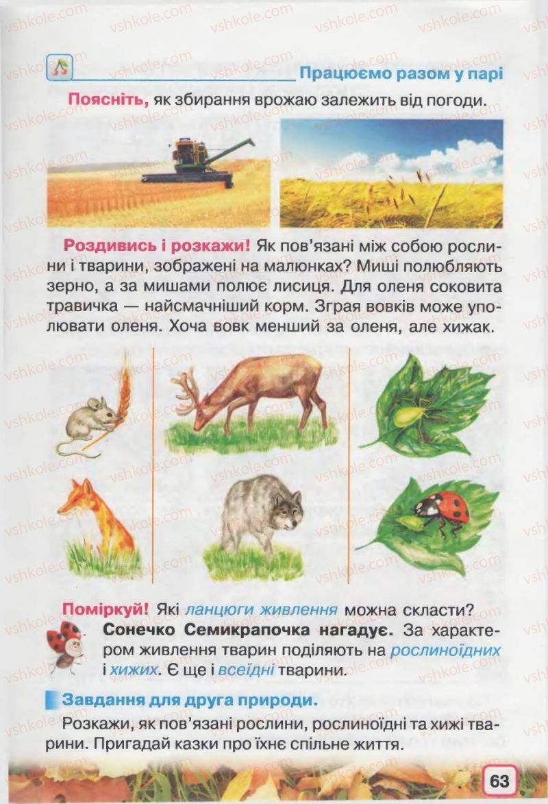 Страница 63 | Підручник Природознавство 2 клас І.В. Грущинська 2012