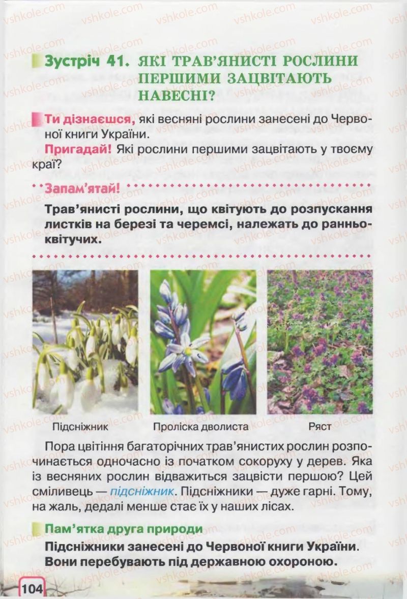 Страница 104 | Підручник Природознавство 2 клас І.В. Грущинська 2012