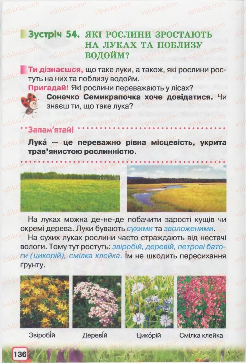 Страница 136 | Підручник Природознавство 2 клас І.В. Грущинська 2012