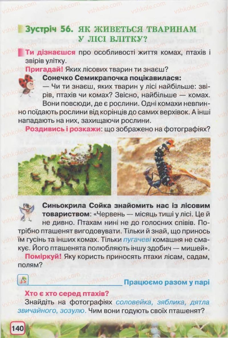 Страница 140 | Підручник Природознавство 2 клас І.В. Грущинська 2012