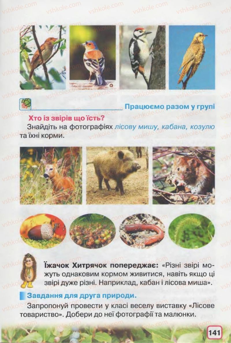 Страница 141 | Підручник Природознавство 2 клас І.В. Грущинська 2012