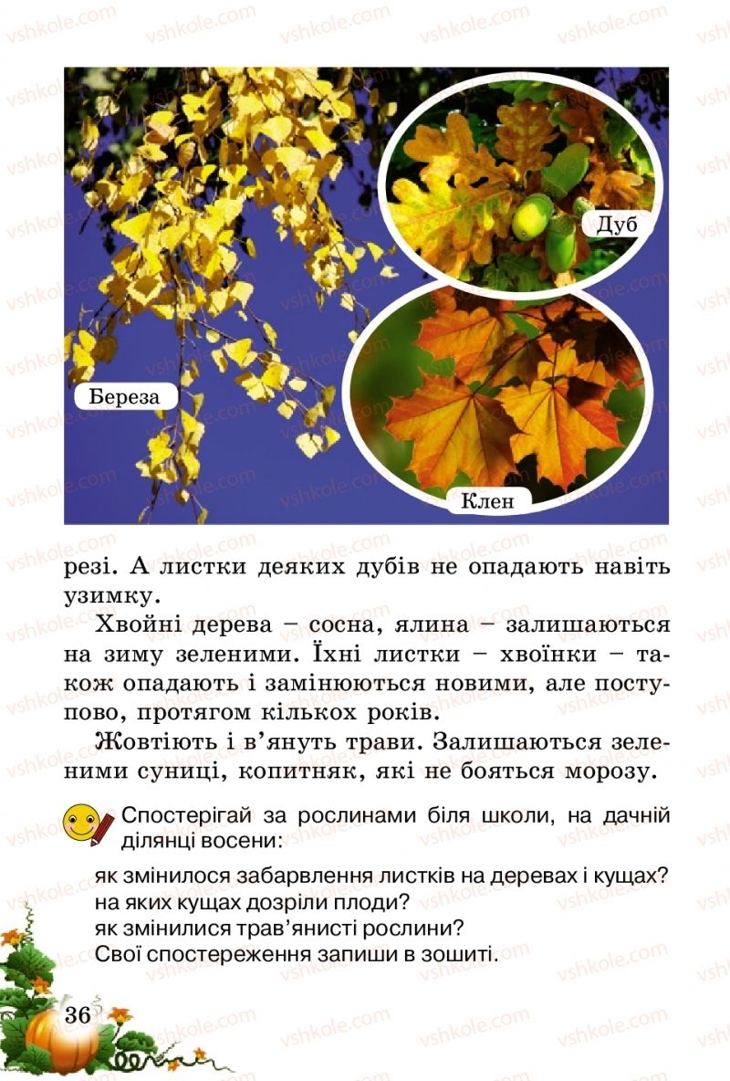 Страница 36 | Підручник Природознавство 2 клас Т.Г. Гільберг, Т.В. Сак 2012