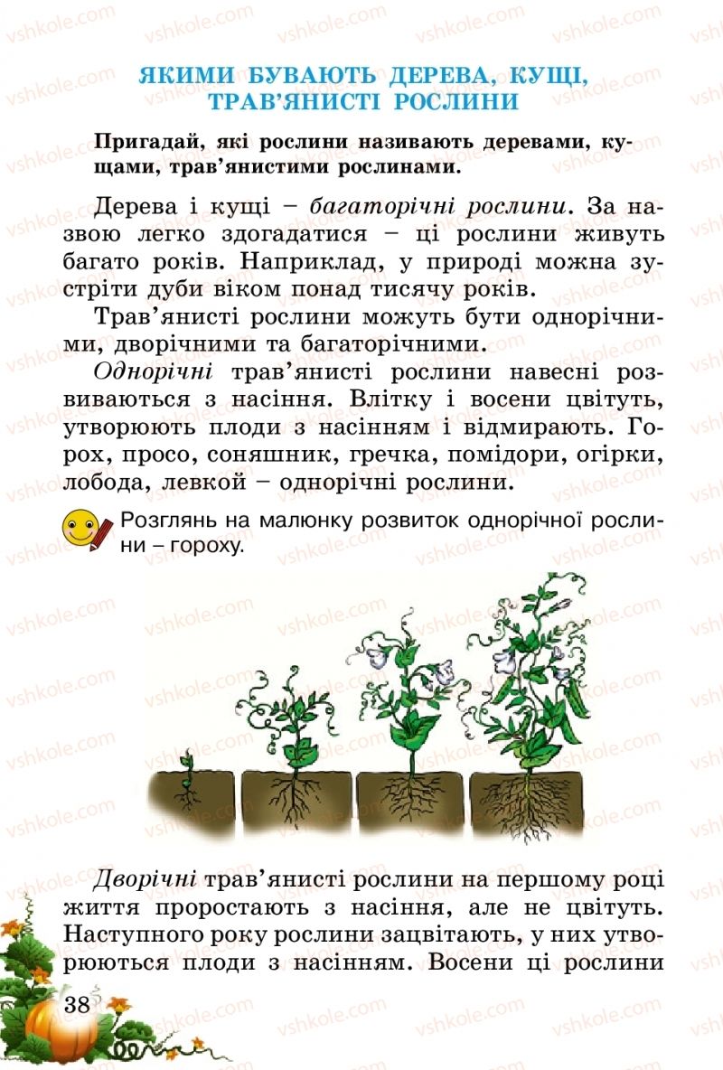 Страница 38 | Підручник Природознавство 2 клас Т.Г. Гільберг, Т.В. Сак 2012