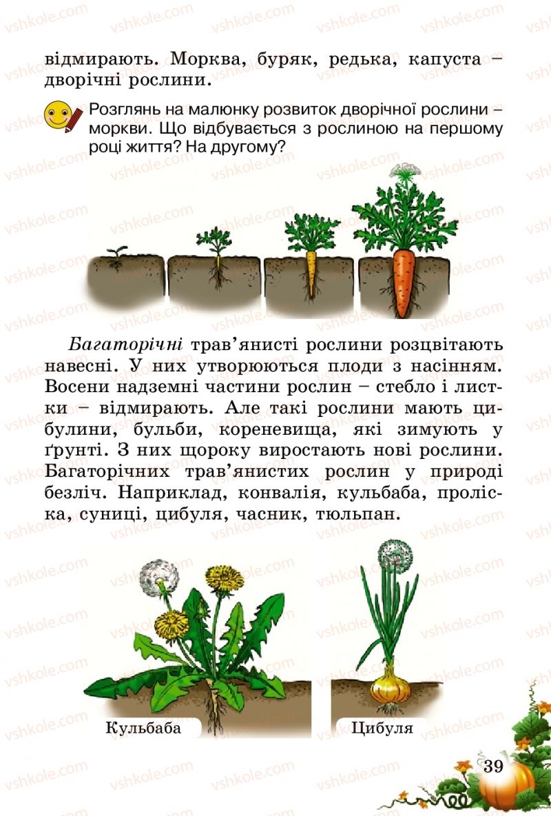 Страница 39 | Підручник Природознавство 2 клас Т.Г. Гільберг, Т.В. Сак 2012