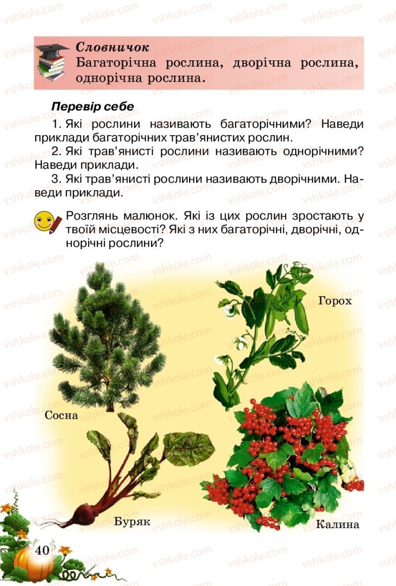 Страница 40 | Підручник Природознавство 2 клас Т.Г. Гільберг, Т.В. Сак 2012