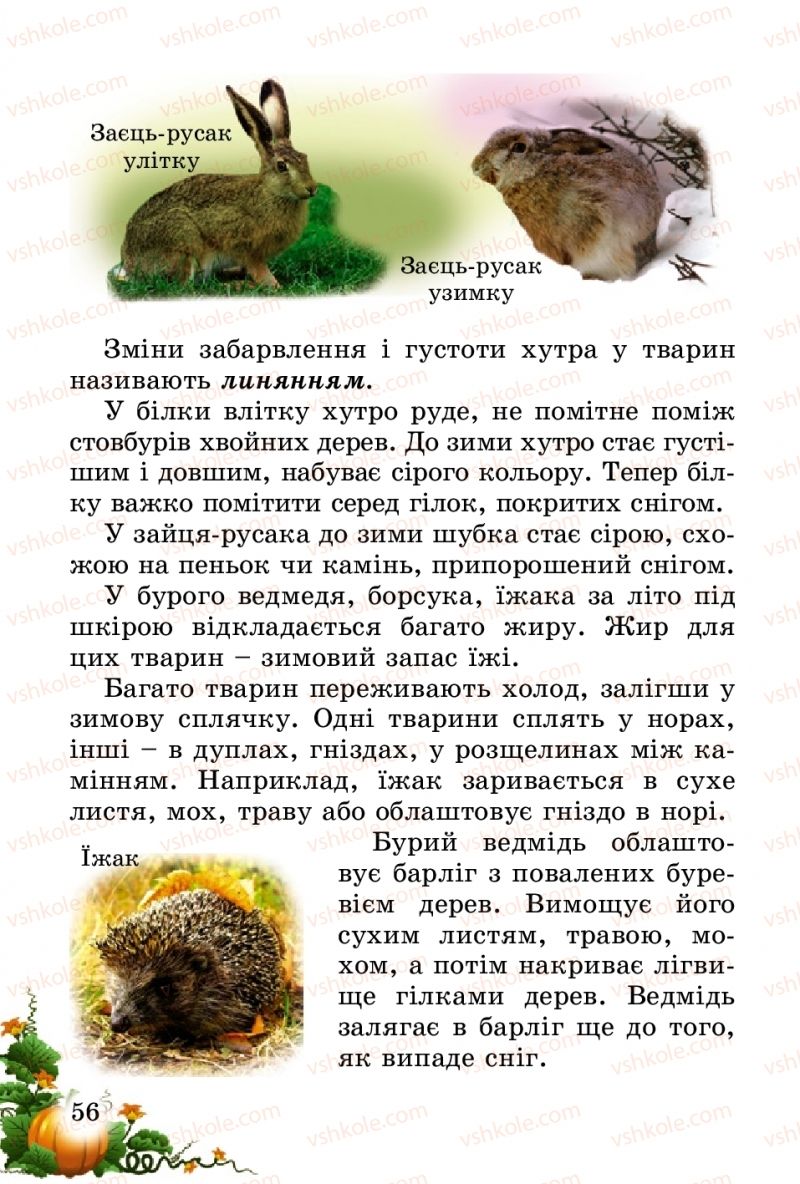 Страница 56 | Підручник Природознавство 2 клас Т.Г. Гільберг, Т.В. Сак 2012
