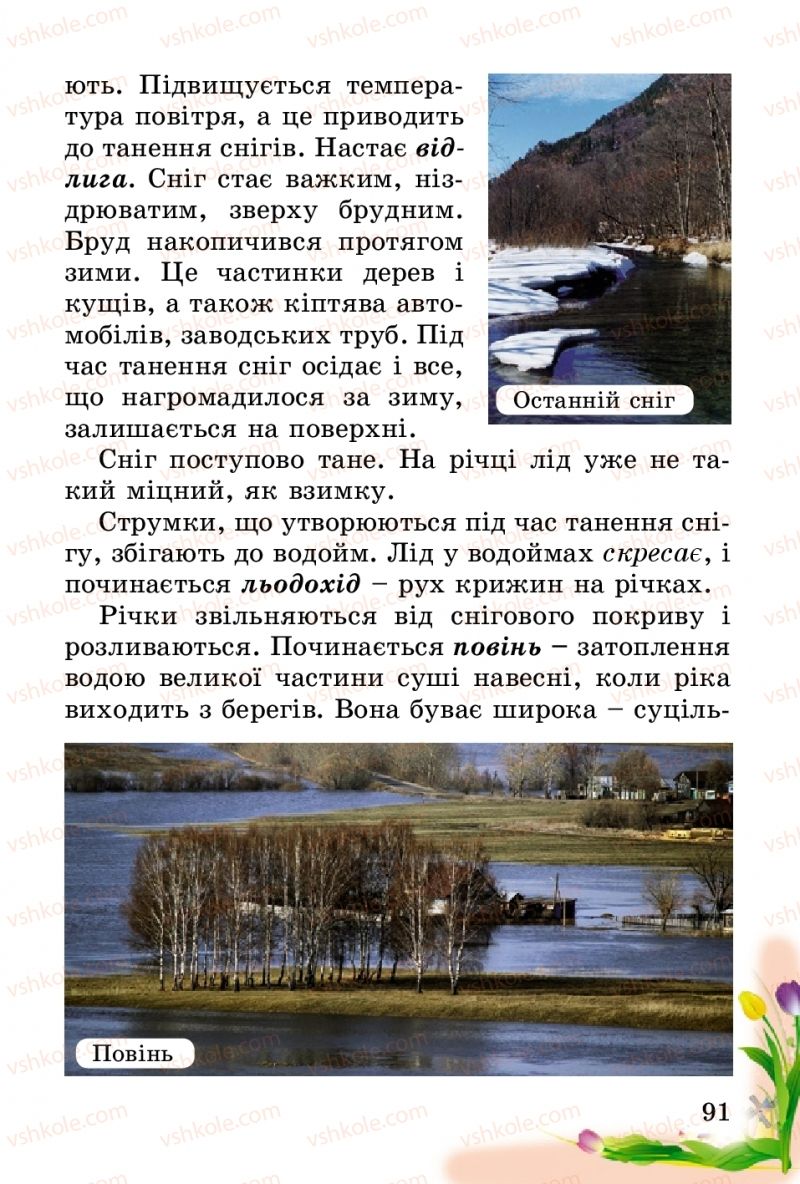 Страница 91 | Підручник Природознавство 2 клас Т.Г. Гільберг, Т.В. Сак 2012