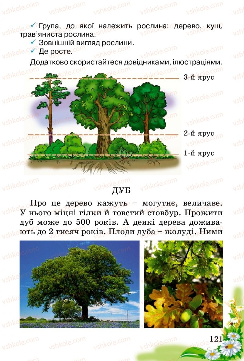 Страница 121 | Підручник Природознавство 2 клас Т.Г. Гільберг, Т.В. Сак 2012