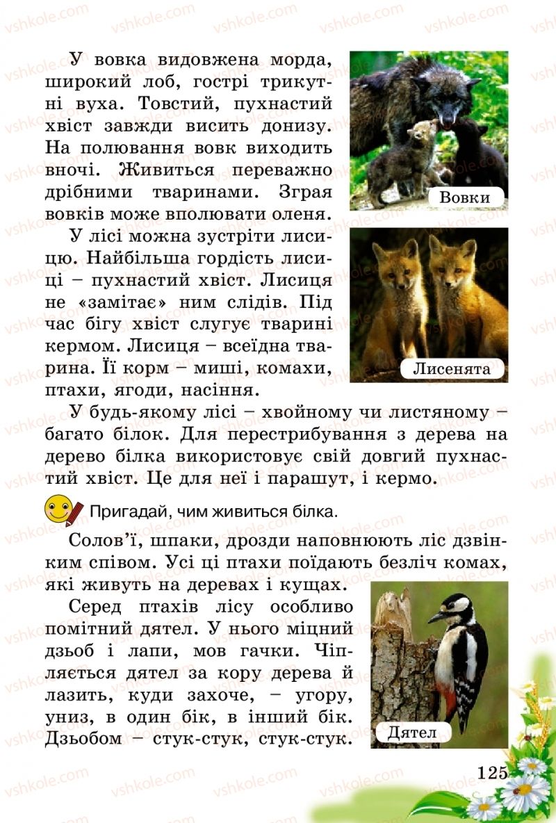 Страница 125 | Підручник Природознавство 2 клас Т.Г. Гільберг, Т.В. Сак 2012