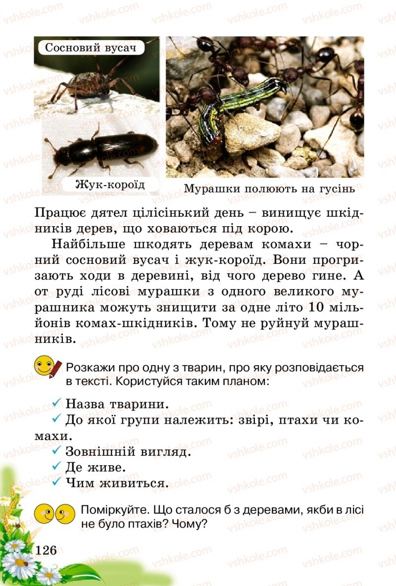 Страница 126 | Підручник Природознавство 2 клас Т.Г. Гільберг, Т.В. Сак 2012
