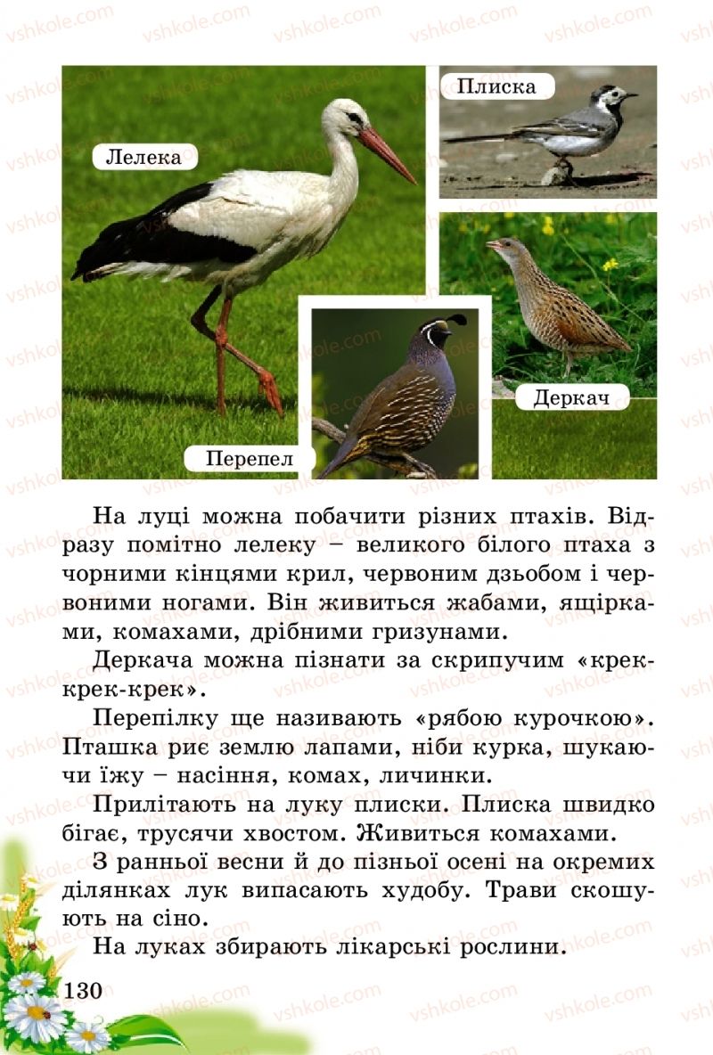 Страница 130 | Підручник Природознавство 2 клас Т.Г. Гільберг, Т.В. Сак 2012