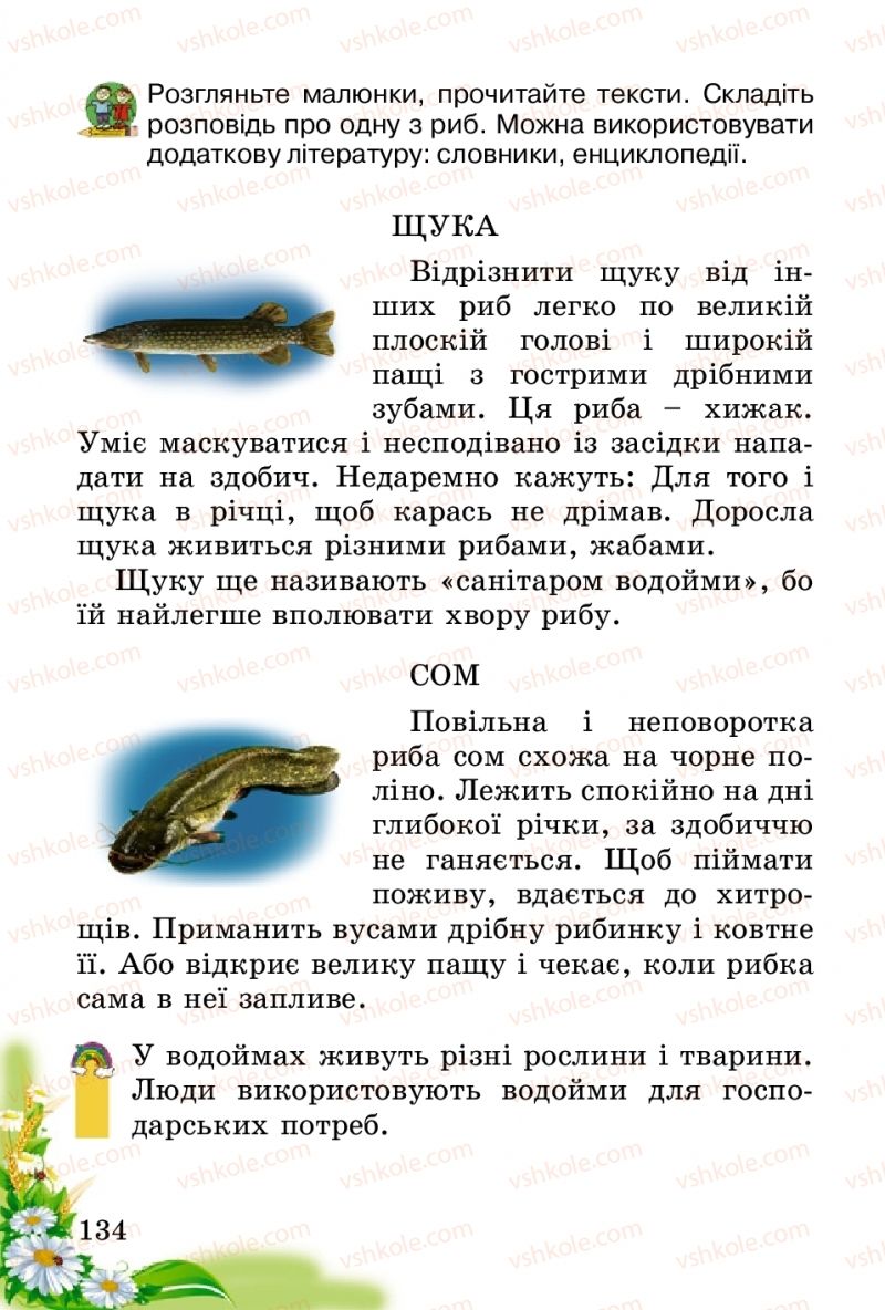Страница 134 | Підручник Природознавство 2 клас Т.Г. Гільберг, Т.В. Сак 2012