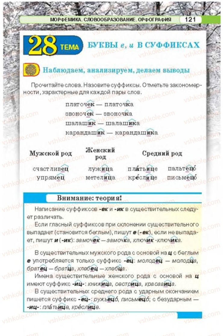 Страница 121 | Підручник Русский язык 6 клас Л.В. Давидюк 2014