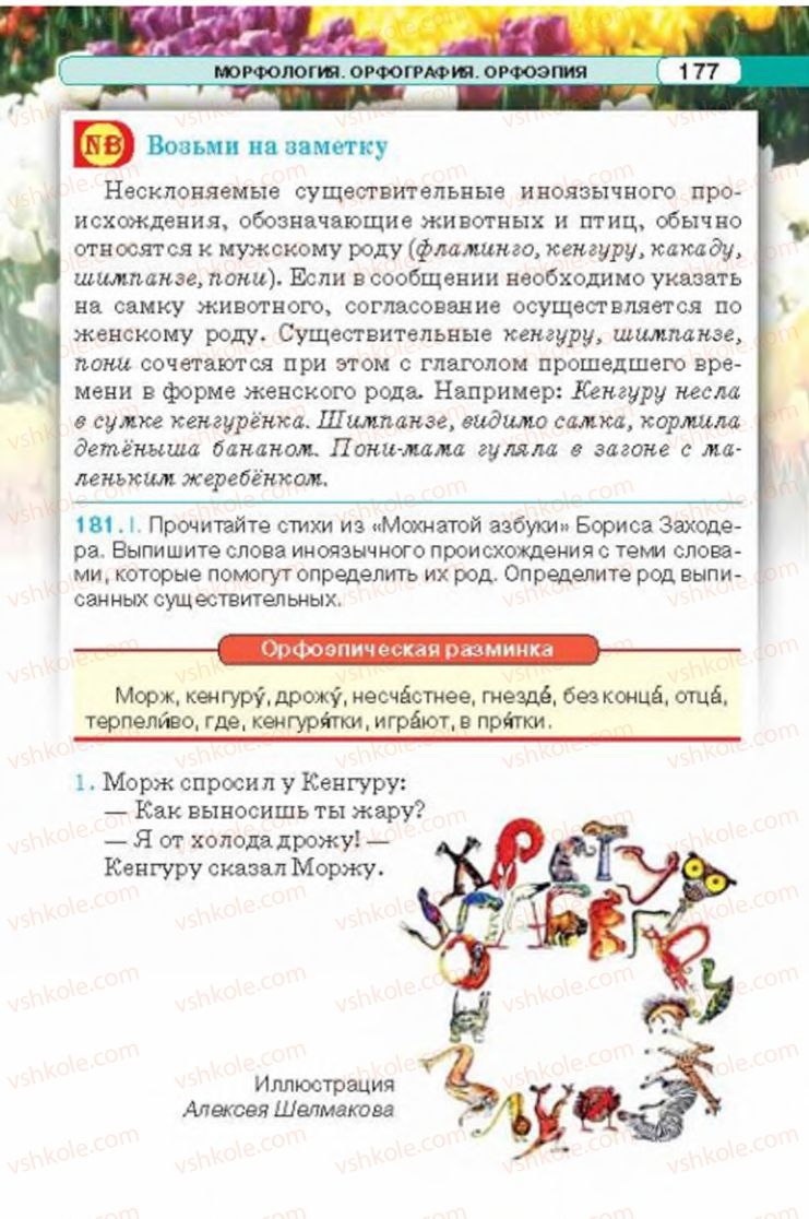Страница 177 | Підручник Русский язык 6 клас Л.В. Давидюк 2014