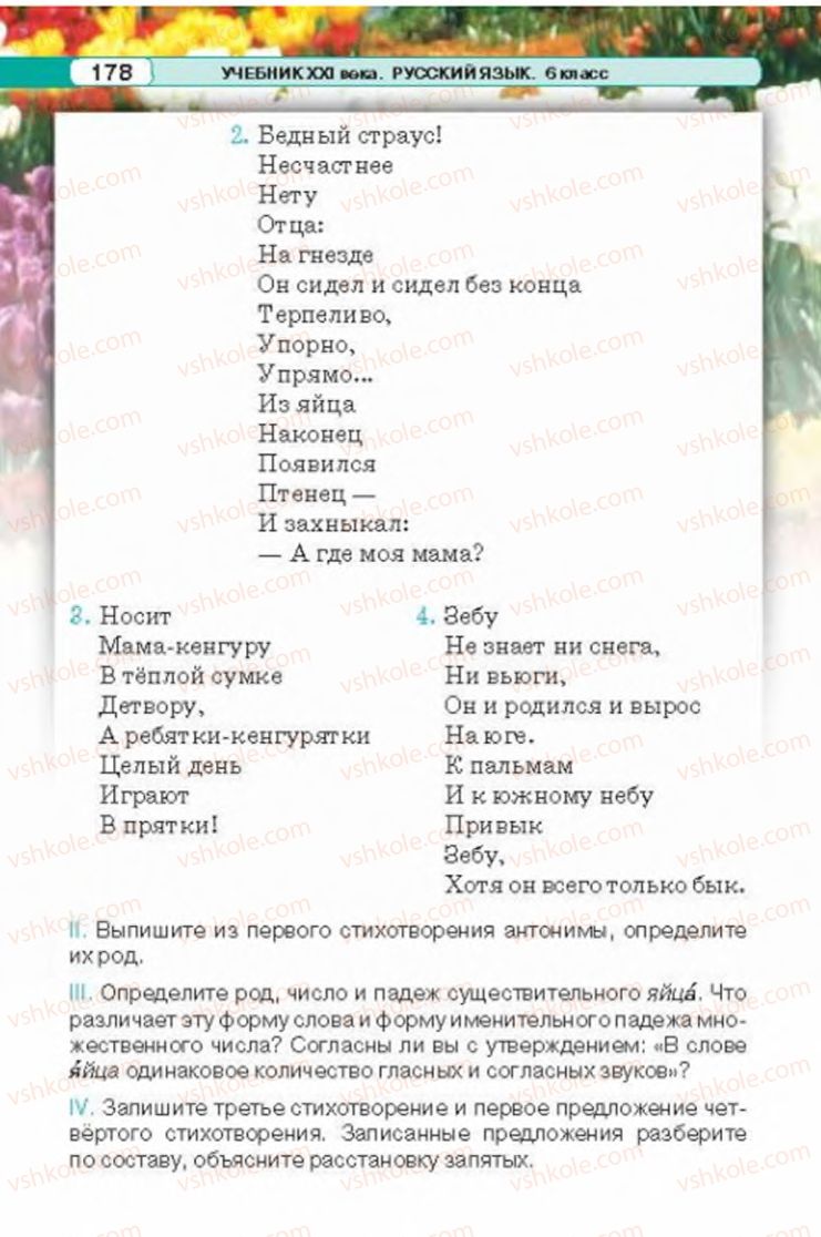 Страница 178 | Підручник Русский язык 6 клас Л.В. Давидюк 2014