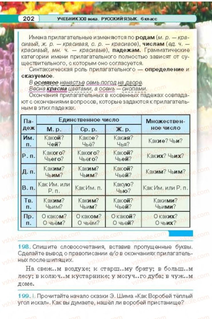 Страница 202 | Підручник Русский язык 6 клас Л.В. Давидюк 2014