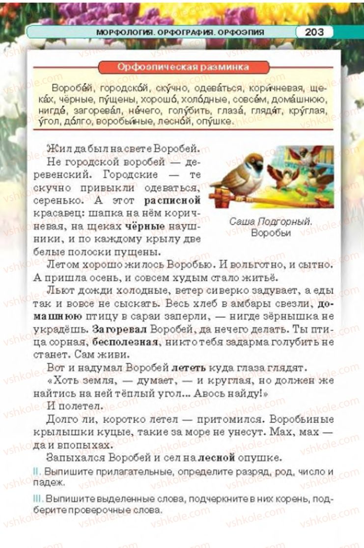 Страница 203 | Підручник Русский язык 6 клас Л.В. Давидюк 2014