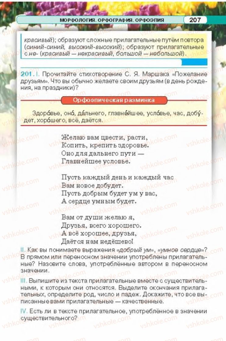 Страница 207 | Підручник Русский язык 6 клас Л.В. Давидюк 2014