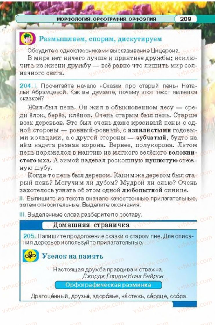 Страница 209 | Підручник Русский язык 6 клас Л.В. Давидюк 2014