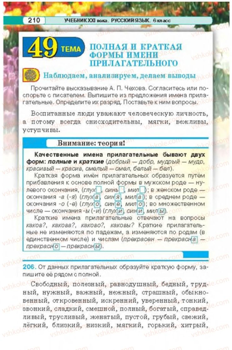 Страница 210 | Підручник Русский язык 6 клас Л.В. Давидюк 2014