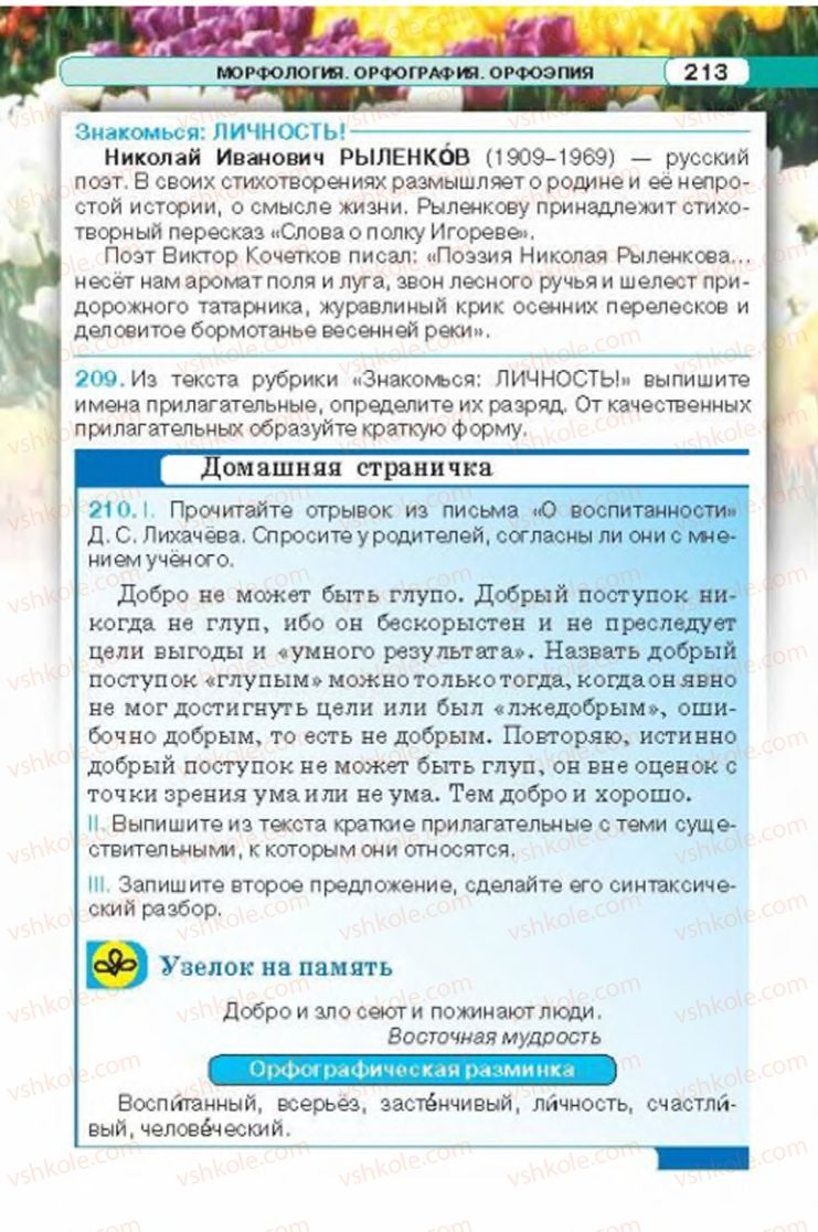 Страница 213 | Підручник Русский язык 6 клас Л.В. Давидюк 2014