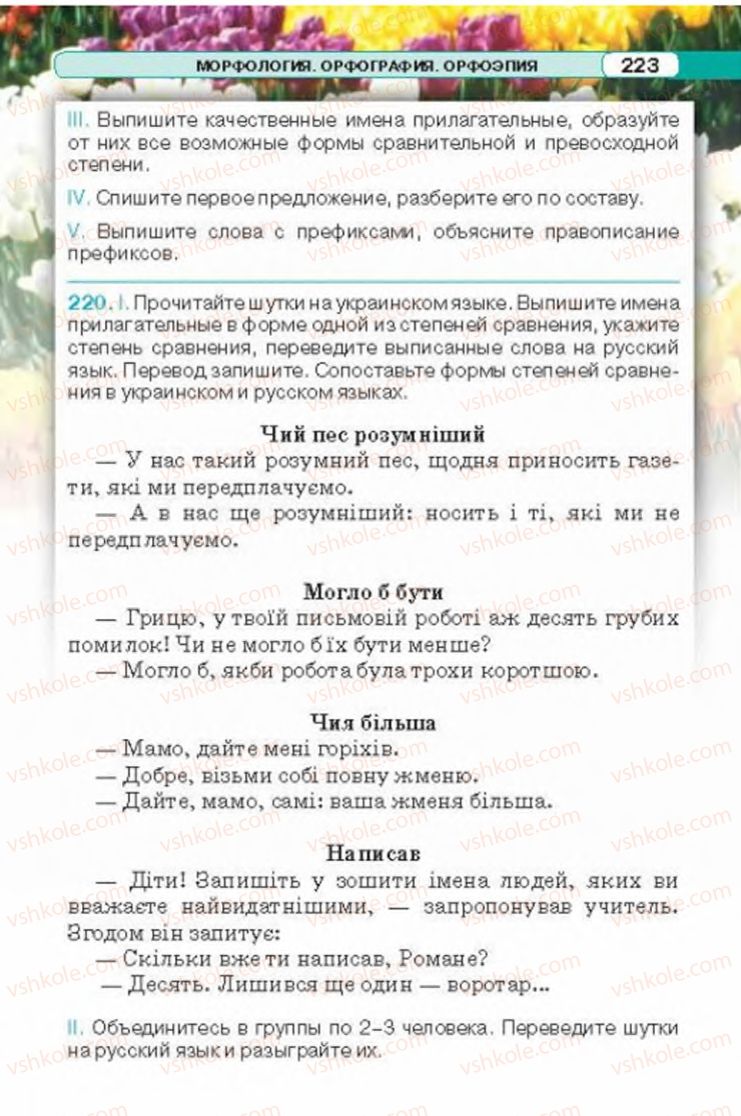 Страница 223 | Підручник Русский язык 6 клас Л.В. Давидюк 2014