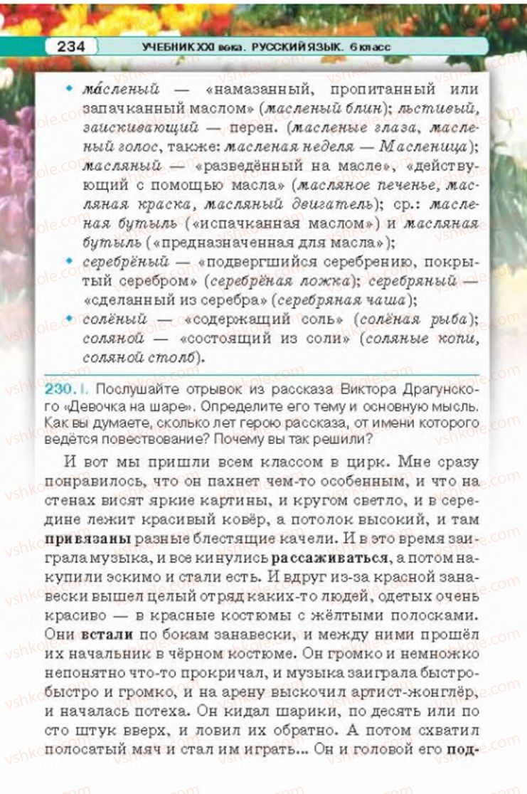 Страница 234 | Підручник Русский язык 6 клас Л.В. Давидюк 2014