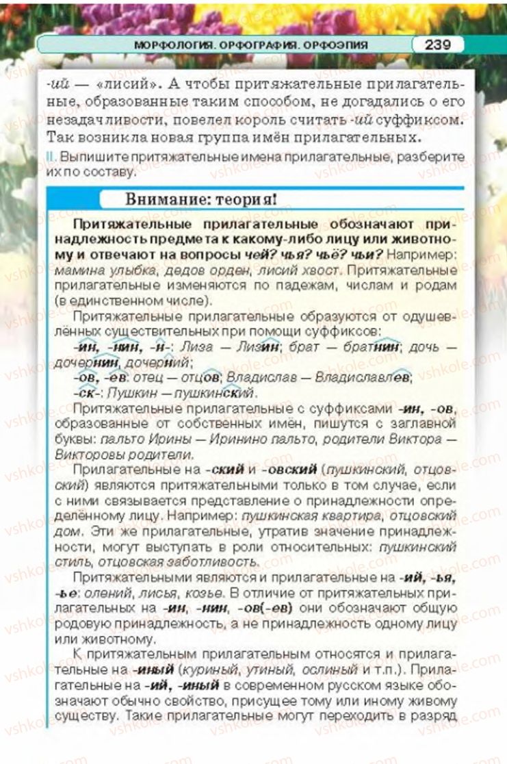 Страница 239 | Підручник Русский язык 6 клас Л.В. Давидюк 2014