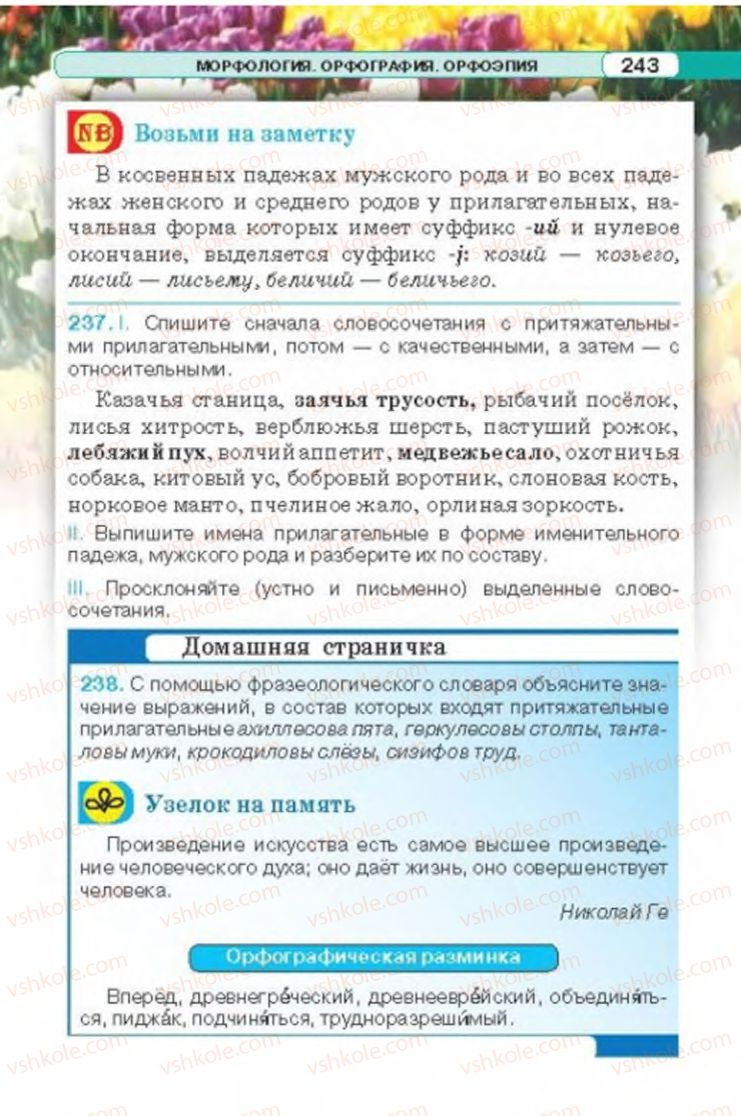Страница 243 | Підручник Русский язык 6 клас Л.В. Давидюк 2014