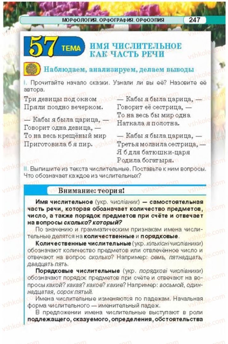 Страница 247 | Підручник Русский язык 6 клас Л.В. Давидюк 2014