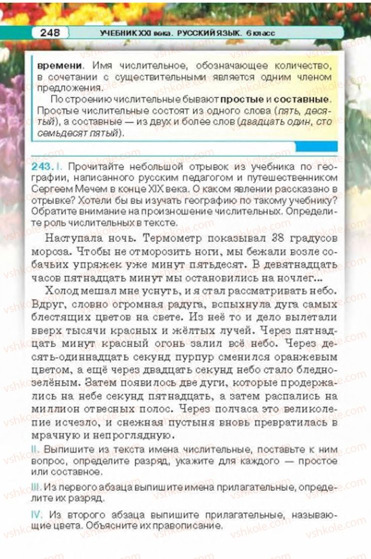 Страница 248 | Підручник Русский язык 6 клас Л.В. Давидюк 2014