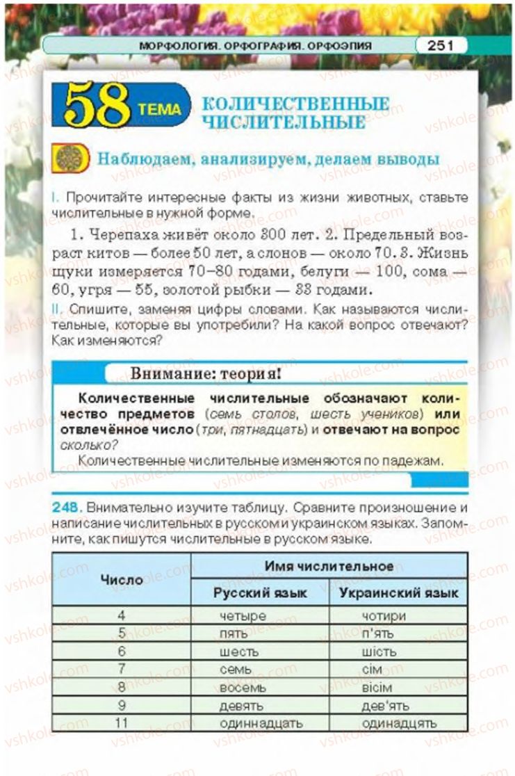 Страница 251 | Підручник Русский язык 6 клас Л.В. Давидюк 2014