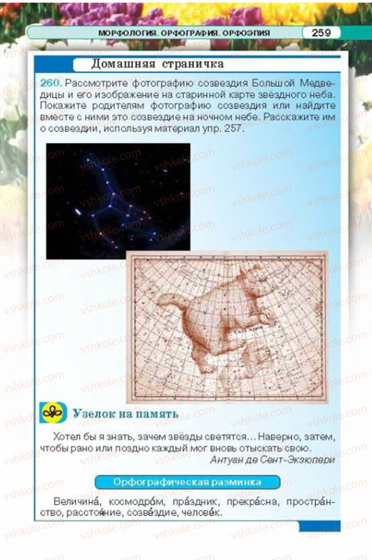 Страница 259 | Підручник Русский язык 6 клас Л.В. Давидюк 2014
