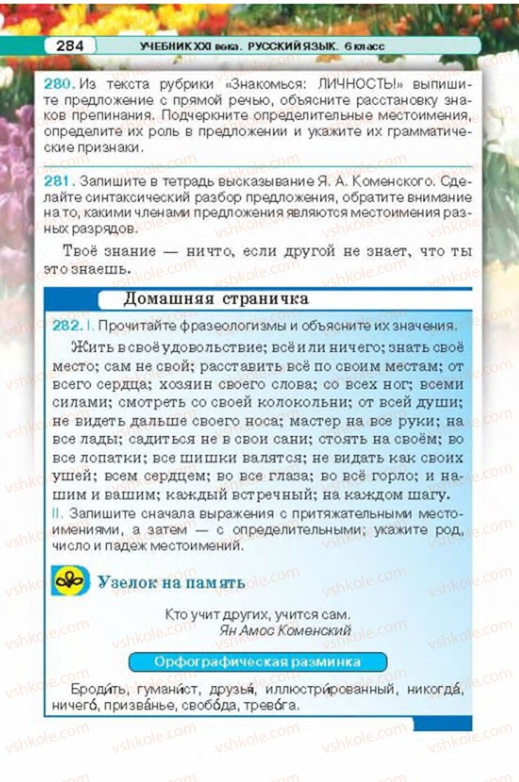 Страница 284 | Підручник Русский язык 6 клас Л.В. Давидюк 2014