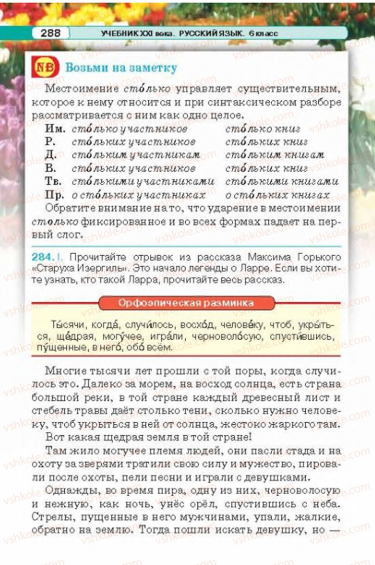 Страница 288 | Підручник Русский язык 6 клас Л.В. Давидюк 2014