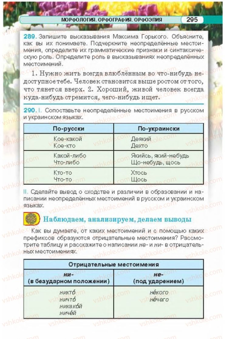 Страница 295 | Підручник Русский язык 6 клас Л.В. Давидюк 2014