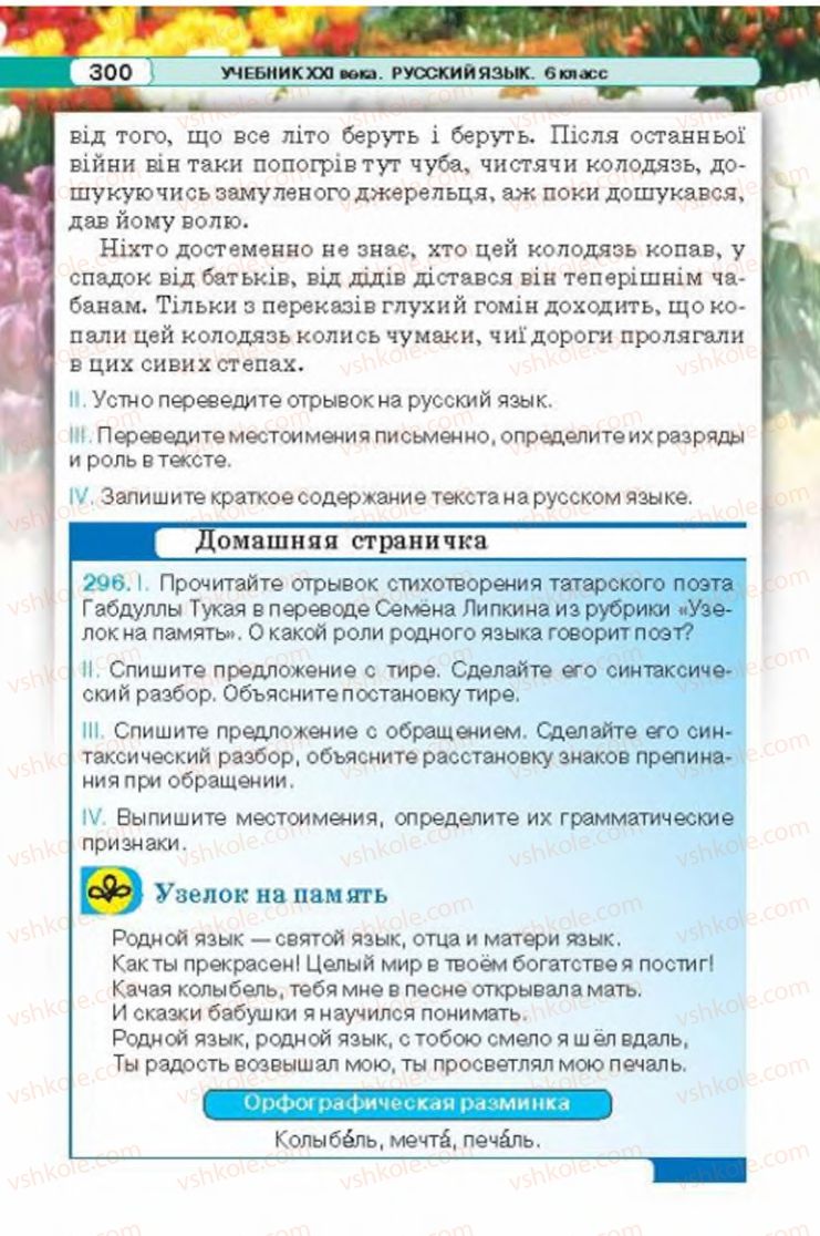 Страница 300 | Підручник Русский язык 6 клас Л.В. Давидюк 2014