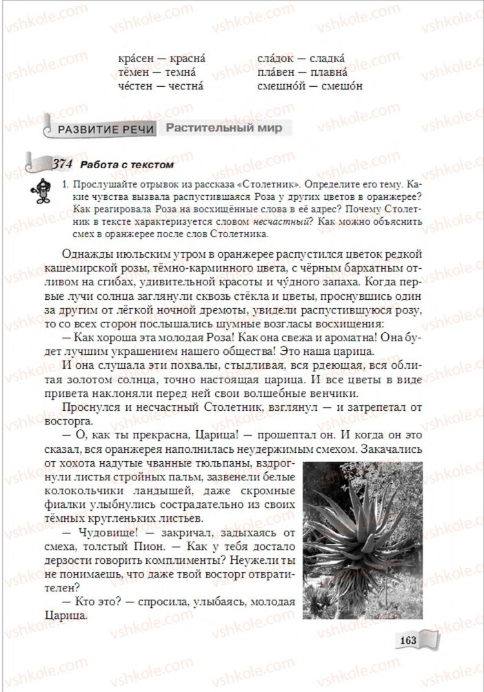 Страница 163 | Підручник Русский язык 6 клас А.Н. Рудяков, Т.Я. Фролова, М.Г. Маркина-Гурджи 2014