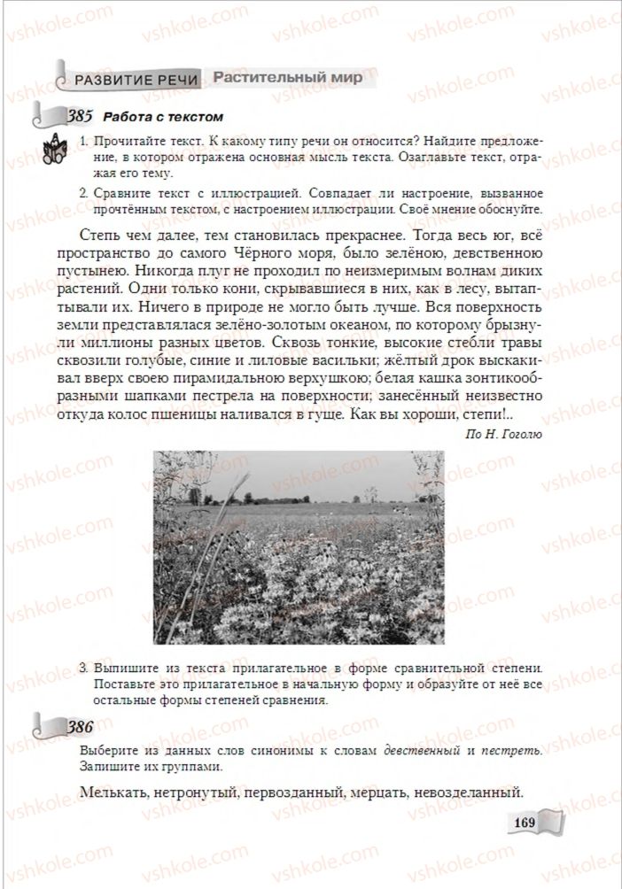 Страница 169 | Підручник Русский язык 6 клас А.Н. Рудяков, Т.Я. Фролова, М.Г. Маркина-Гурджи 2014