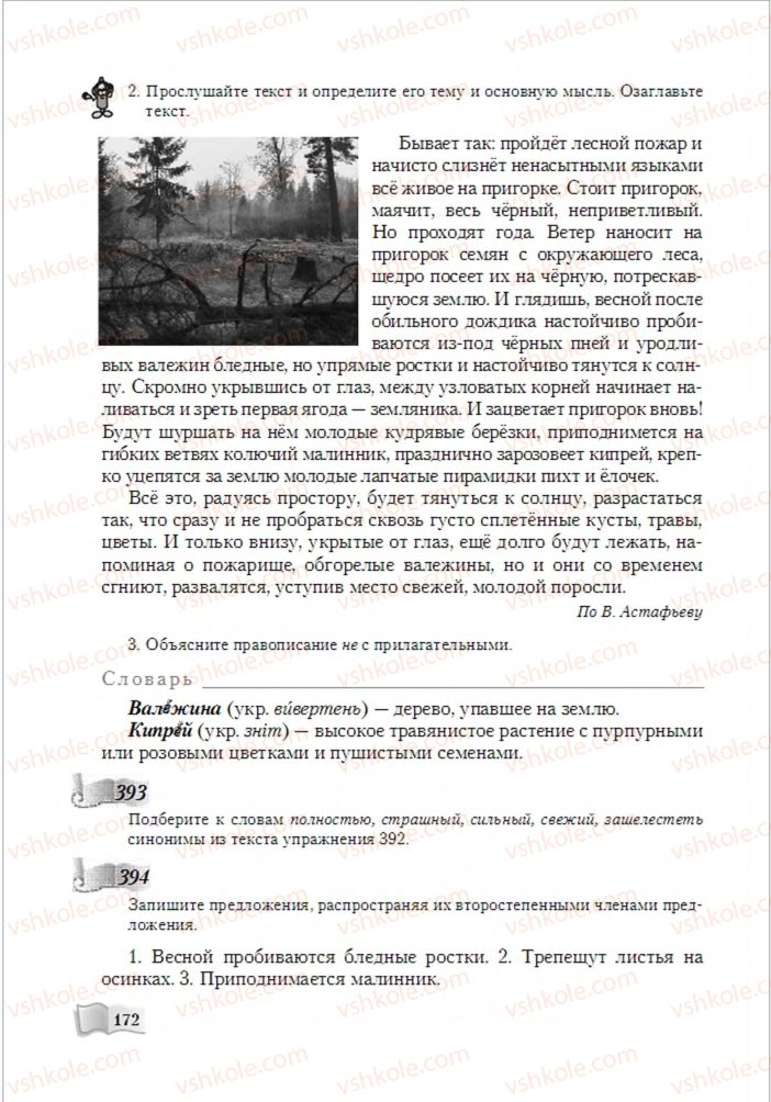 Страница 172 | Підручник Русский язык 6 клас А.Н. Рудяков, Т.Я. Фролова, М.Г. Маркина-Гурджи 2014