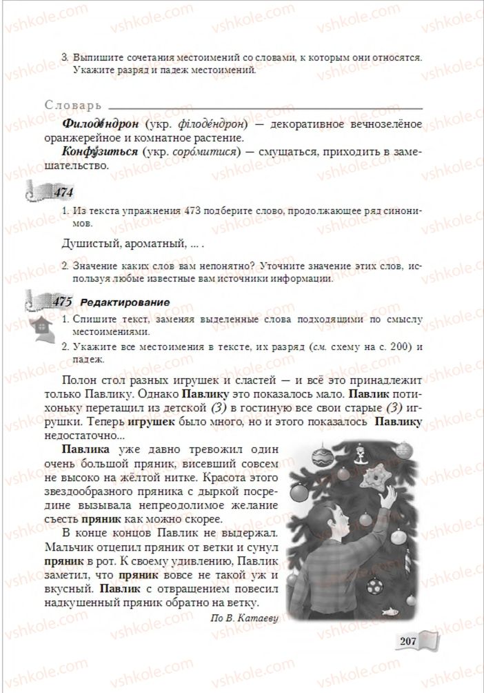 Страница 207 | Підручник Русский язык 6 клас А.Н. Рудяков, Т.Я. Фролова, М.Г. Маркина-Гурджи 2014