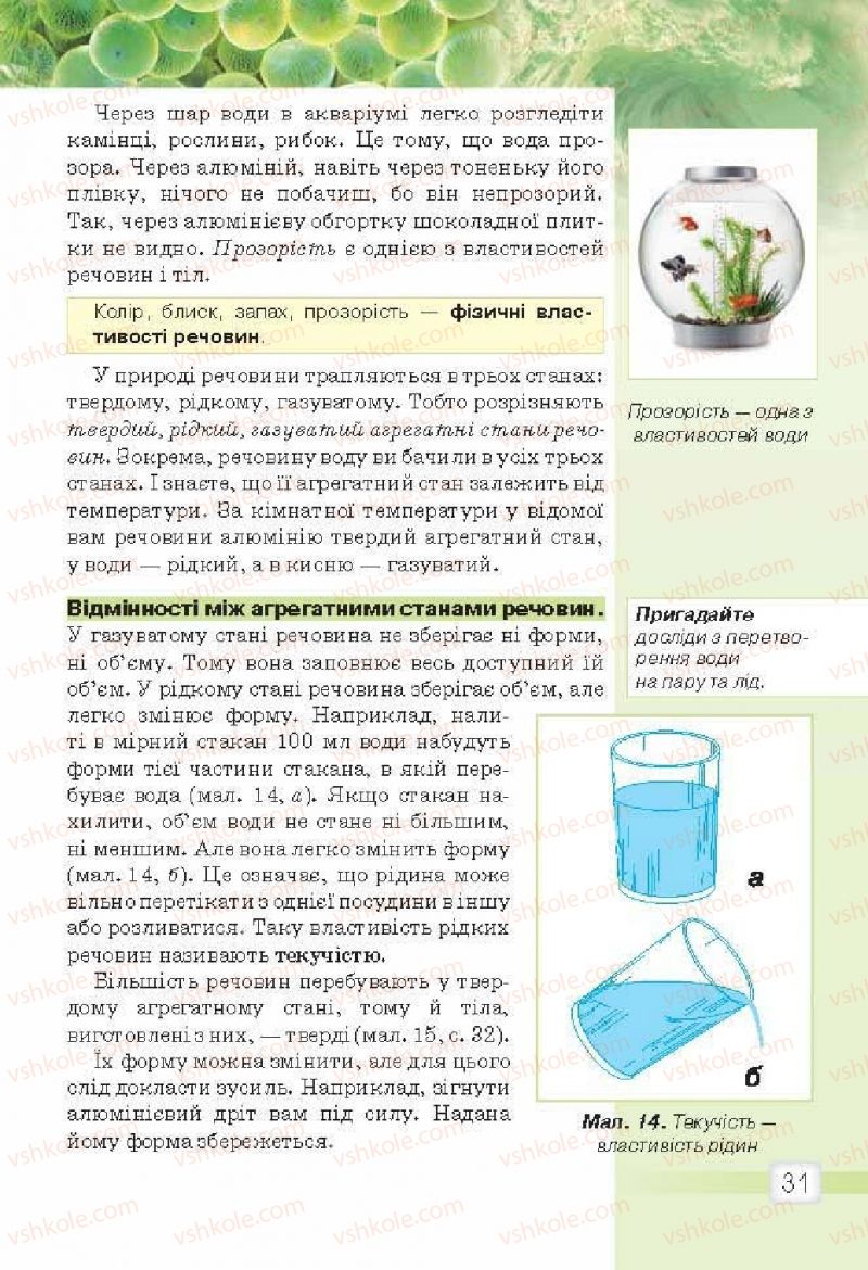 Страница 31 | Підручник Природознавство 5 клас О.Г. Ярошенко, В.М. Бойко 2013